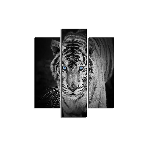 HOMEMANIA Tableau Murale - Tigre - Nature - pour Séjour, Chambre - Multicolore en MDF, 19 x 0,3 x 60 cm