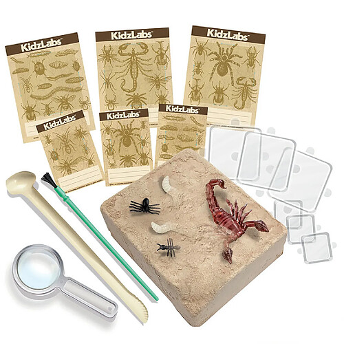 4M Kit Découverte de la Science - Déterre Les Insectes