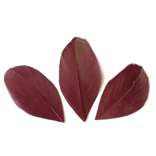 Graines Creatives 50 plumes coupées - Rouge Bordeaux 6 cm