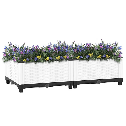 Maison Chic Jardinière,Lit surélevé - Bac à fleurs - pot de fleur 80x40x23 cm Polypropylène -GKD46111