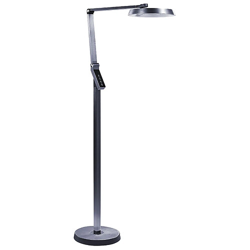 Beliani Lampadaire gris foncé à LED CARINA