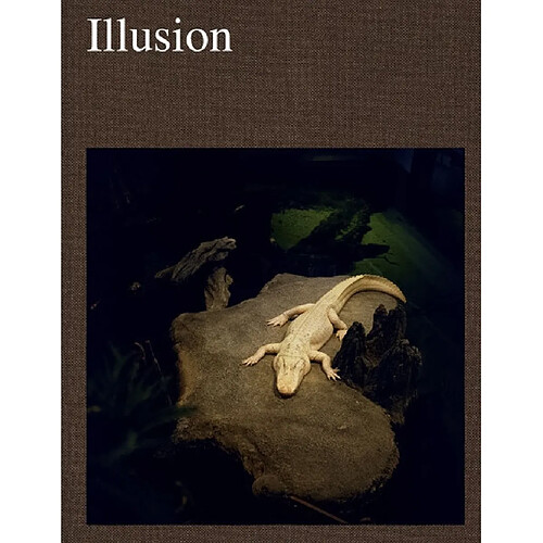 Illusion · Occasion