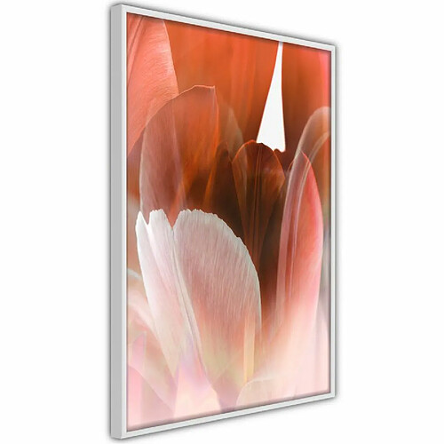 Paris Prix Affiche Murale Encadrée Tulip Petals 40 x 60 cm Blanc