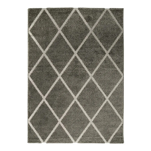 Thedecofactory DEHORS-DEDANS CROISILLE - Tapis pour intérieur-extérieur gris 160x230