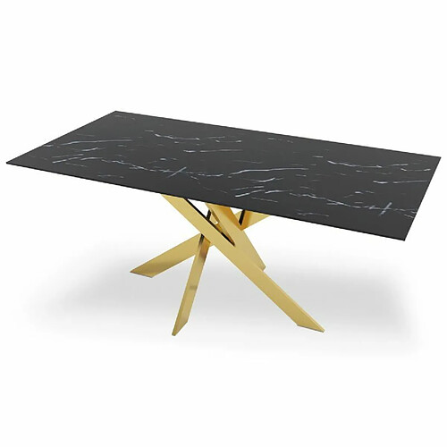 Paris Prix Table de Repas Design Nalou 180cm Noir & Or