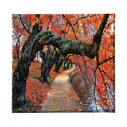 EPIKASA Impression sur Toile Arbre 7, Rouge, Polyester, 60x3x60 cm