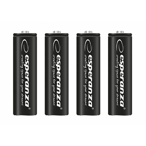 Esperanza EZA106 batterie rechargeable Hybrides nickel-métal (NiMH) 2600 mAh 1,2 V