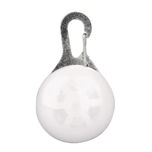 animal de compagnie chien chat sécurité clip clip boucle nuit lumière décor ampoule collier blanc