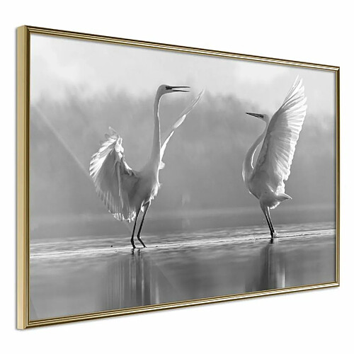 Paris Prix Affiche Murale Encadrée Black and White Herons 60 x 40 cm Or