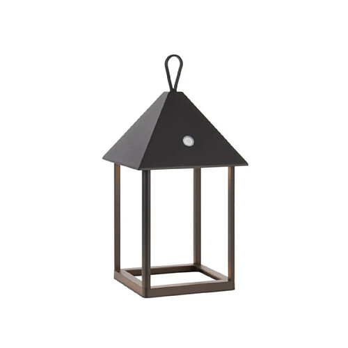 Endon Lampe de table extérieur Hoot Verre,alliage d'aluminium Noir mat, verre transparent