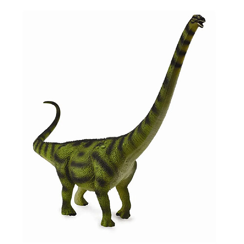 Figurines Collecta Figurine Dinosaure : Daxiatitan