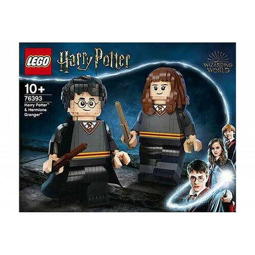 LEGO® Harry Potter™ 76393 Harry Potter™ et Hermione Granger™