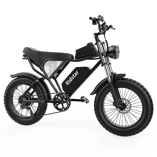 Vélo électrique Ridstar Q20, moteur sans balais 1000W, gros pneus 20 x 4,0 pouces, batterie amovible 48V 20Ah, vitesse maximale de 48km/h, Autonomie 120 km