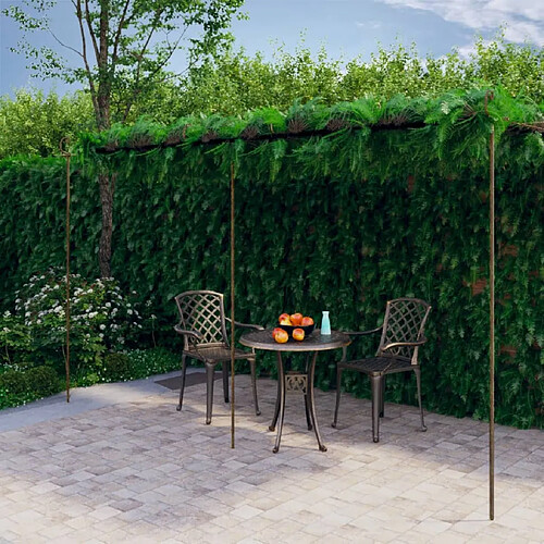 vidaXL Pergola de jardin Marron antique 6x3x2,5 m Fer