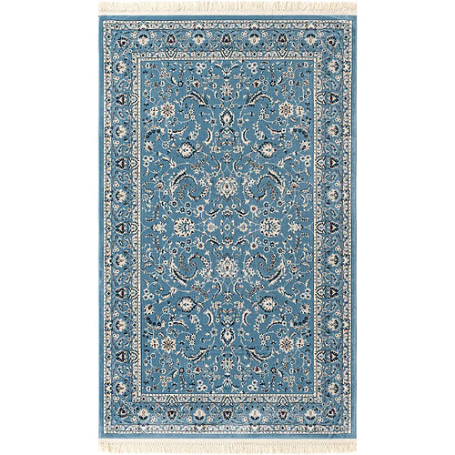 Hadorn Tapis 244x152 bleu clair Classical