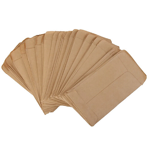 100pcs Pochette Sac en Kraft Papier Vintage pour Semences