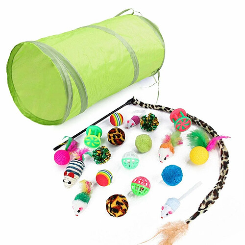 Justgreenbox Jouet pour chat Jouets pour chatons - Ensemble de variétés 21PCS - T6112211963761