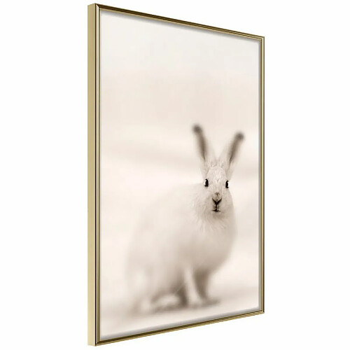 Paris Prix Affiche Murale Encadrée Curious Rabbit 20 x 30 cm Or