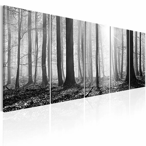 Artgeist Tableau - Monochrome Forest [200x80]