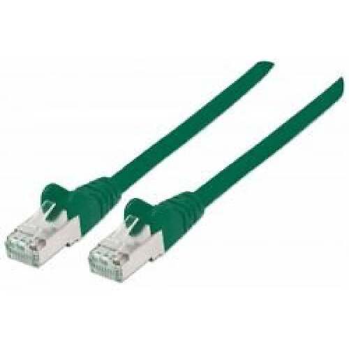 Disney Intellinet Kabel / Adapte câble de réseau 1 m Cat6a S/FTP (S-STP) Vert (NETWORK CABLE CAT6A COPPER 1M- - GREEN S/FTP CBL/SHIELD TP/SHIELD)