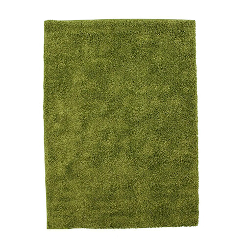 Thedecofactory ROBIN - Tapis à poils longs toucher laineux vert 133x180