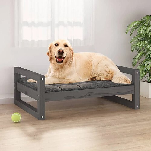 vidaXL Lit pour chien Gris 75,5x55,5x28 cm Bois de pin solide