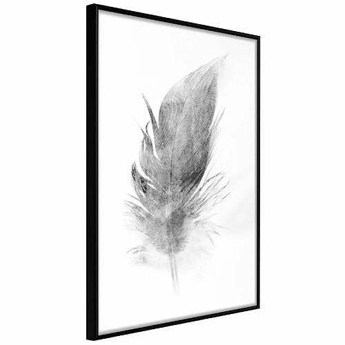 Paris Prix Affiche Murale Encadrée Lost Feather Grey 40 x 60 cm Noir