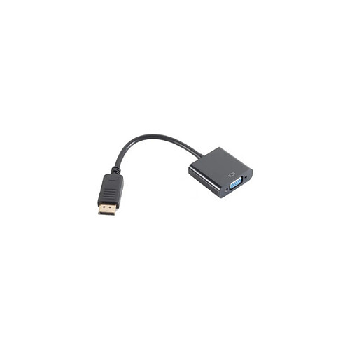 shiverpeaks BASIC-S Adaptateur, DisplayPort - VGA ()