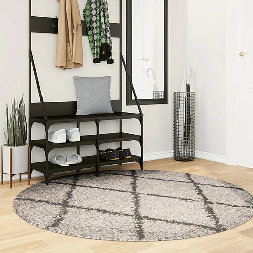 vidaXL Tapis shaggy à poils longs moderne beige et anthracite Ø 160 cm