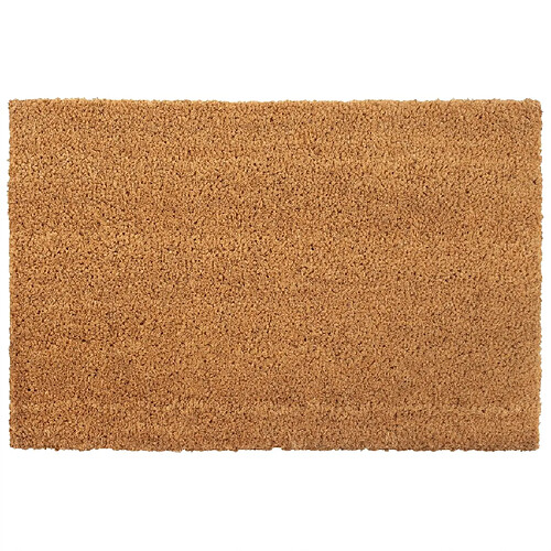 vidaXL Tapis de porte naturel 50x80 cm fibre de coco touffeté