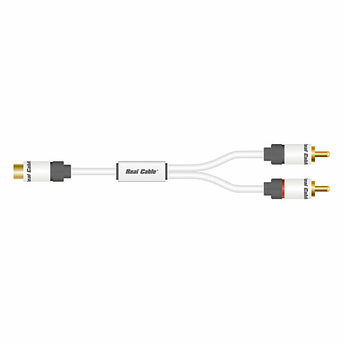 Câble audio 2 RCA (10 mètres)