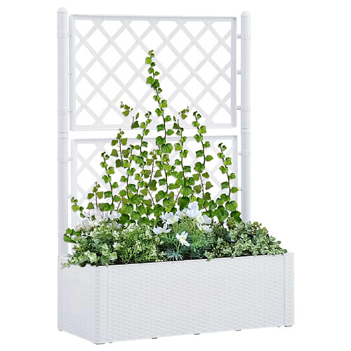 vidaXL Lit surélevé de jardin et treillis et système d'arrosage Blanc