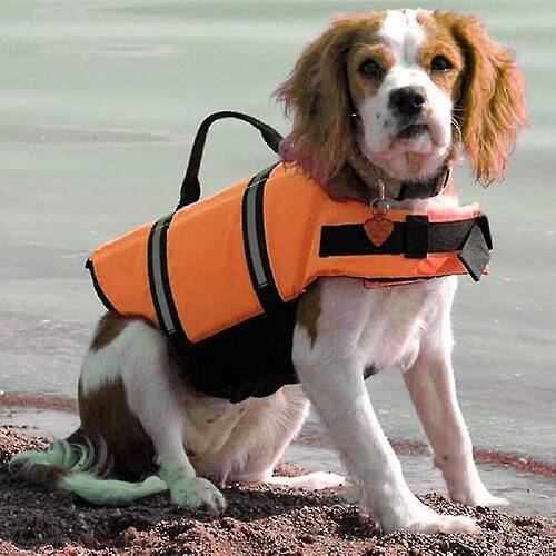 Universal Orange Dog Life Lifeding Vacket Reflective Summer Swimming Training for Pet (L)