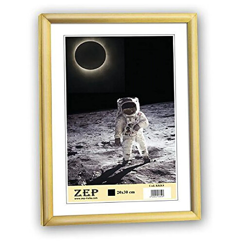 ZEP New Easy gold DIN A4 21x29,7 Kunststoff Rahmen KG11