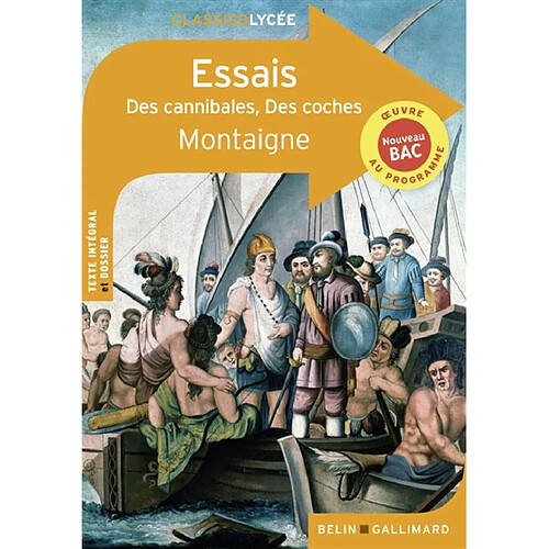 Essais : nouveau bac · Occasion