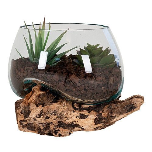 EPIKASA Terrarium San