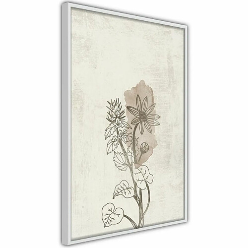 Paris Prix Affiche Murale Encadrée Life of Plants 20 x 30 cm Blanc