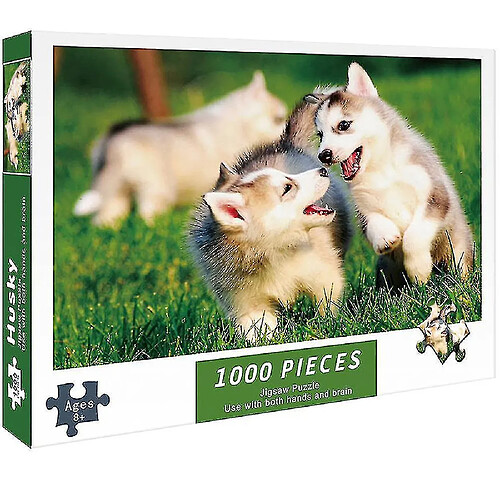 Universal Puzzle adulte haute dureté 1000 pièces (couleur 31)