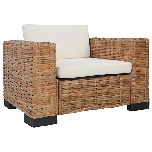 Maison Chic Ensemble de canapés 2 pcs avec coussins, Canapé droit Sofa pour Salon Rotin naturel -GKD876904