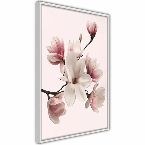 Paris Prix Affiche Murale Encadrée Blooming Magnolias I 30 x 45 cm Blanc