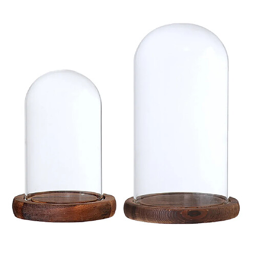 2pcs Verre Paysage Fleur Récipient LED Lumière Ornement Présentoir Couvercle De Couverture Dôme Avec Base En Bois Transparent