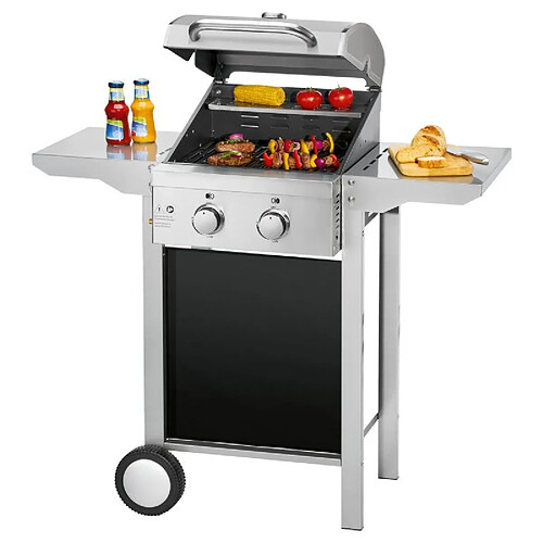 Barbecue grill à gaz 2 brûleurs Proficook PC-GG1255