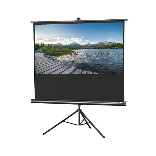 Ecran de projection sur pied celexon Economy 133 x 75 cm