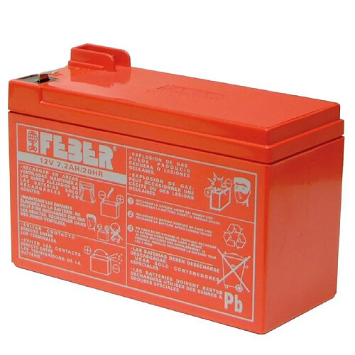 Feber Batterie pour Véhicule Électrique 12V