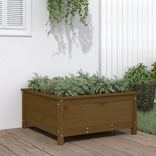 vidaXL Jardinière marron miel 82,5x82,5x39 cm bois massif de pin