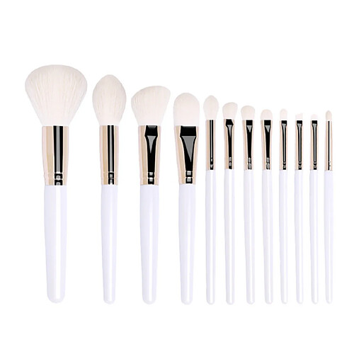 G56 12 pcs Maquillage Brosse Set Soleil Shadow Brush Foundation Foundation Blueule Beauty Tool Voyage Maquillage Maquillage Brosse Brosses Ensemble de brosses