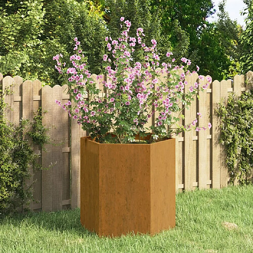 vidaXL Jardinière Rouillé 40x40x45 cm Acier corten