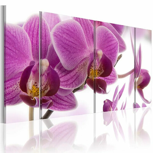 Paris Prix Tableau Imprimé Marvelous Orchid 30 x 60 cm