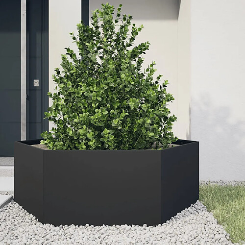 vidaXL Jardinière noir hexagone 138x120x45 cm acier