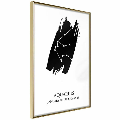 Paris Prix Affiche Murale Encadrée Zodiac Aquarius I 30 x 45 cm Or